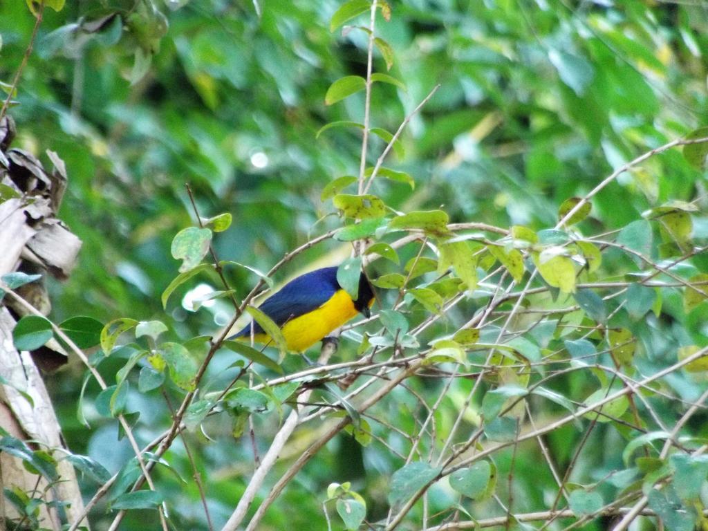 Estalagem Miracolo Paraty
